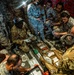 Bright Stars Shine Over Egypt