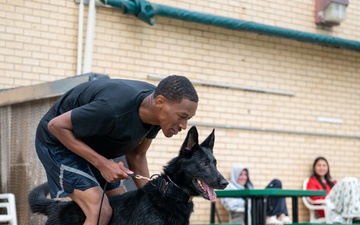 Military Working Dogs Test Bite in Water
