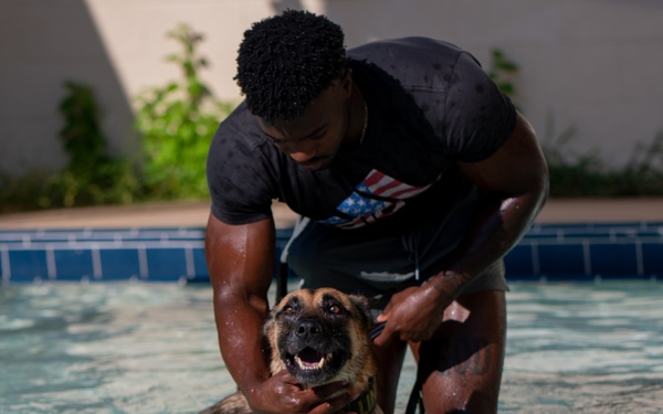Military Working Dogs Test Bite in Water