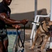 Military Working Dogs Test Bite in Water