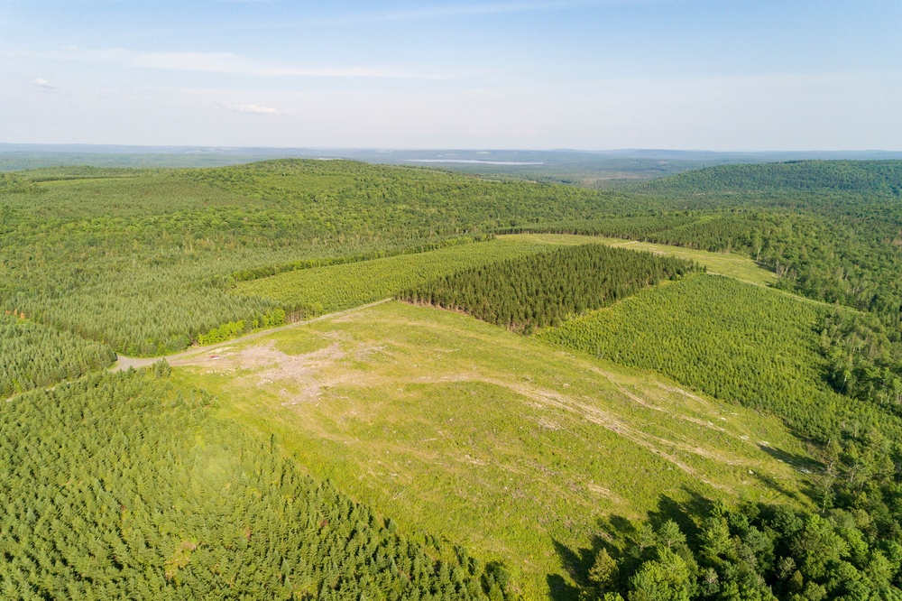 Incentivizing long-term forest ownership