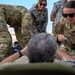 BRIGHT STAR 25: USAF, USN and EAF Aeromedical Evacuation and CCATT skill exchange