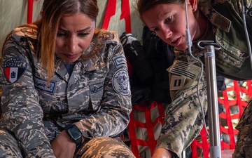 BRIGHT STAR 25: USAF, USN and EAF Aeromedical Evacuation and CCATT skill exchange