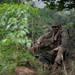 Observation Post at Saber Junction 25
