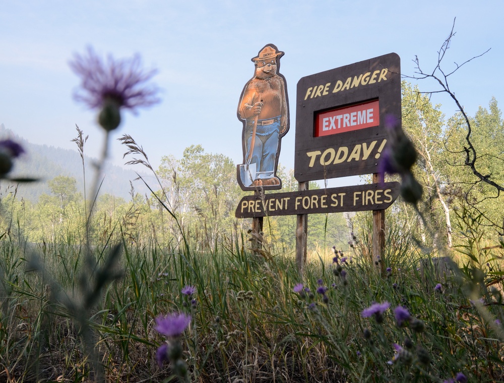 Wildfire: When Fun Turns to Flames