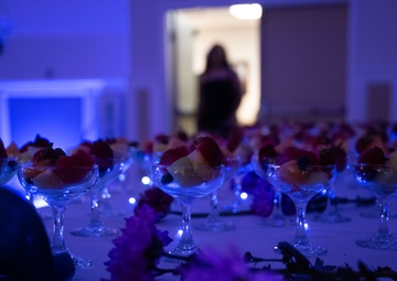 Team Dover hosts 2025 Air Force Ball