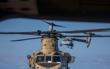 25th CAB Conducts Deck Landing Qualifications on USS America (LHA 6)