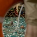 Fox Company Swim Qualification