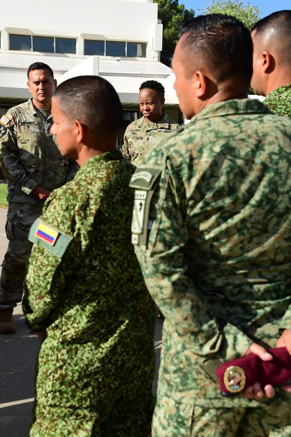 NCOLCoE Strengthens International Partnerships Through Senior Leader Engagement