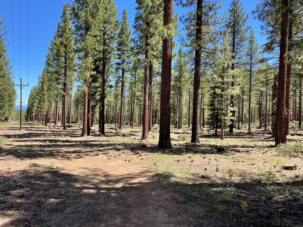 Tahoe