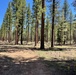 Tahoe