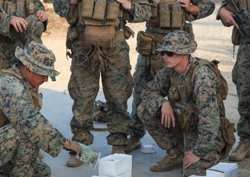 Training and Leadership Development Summit 2025