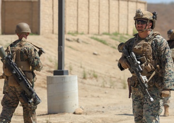 Training and Leadership Development Summit 2025