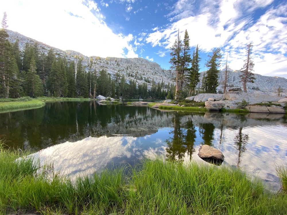 Wilderness