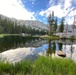 Wilderness