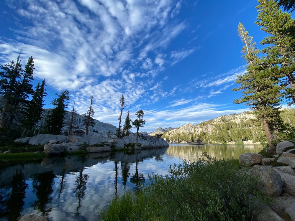 Wilderness