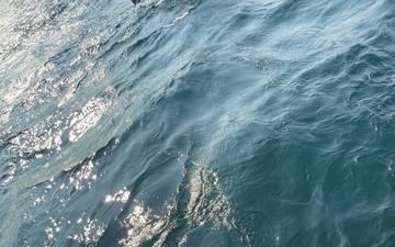 Coast Guard Cutter Sea Lion crew saves kayaker