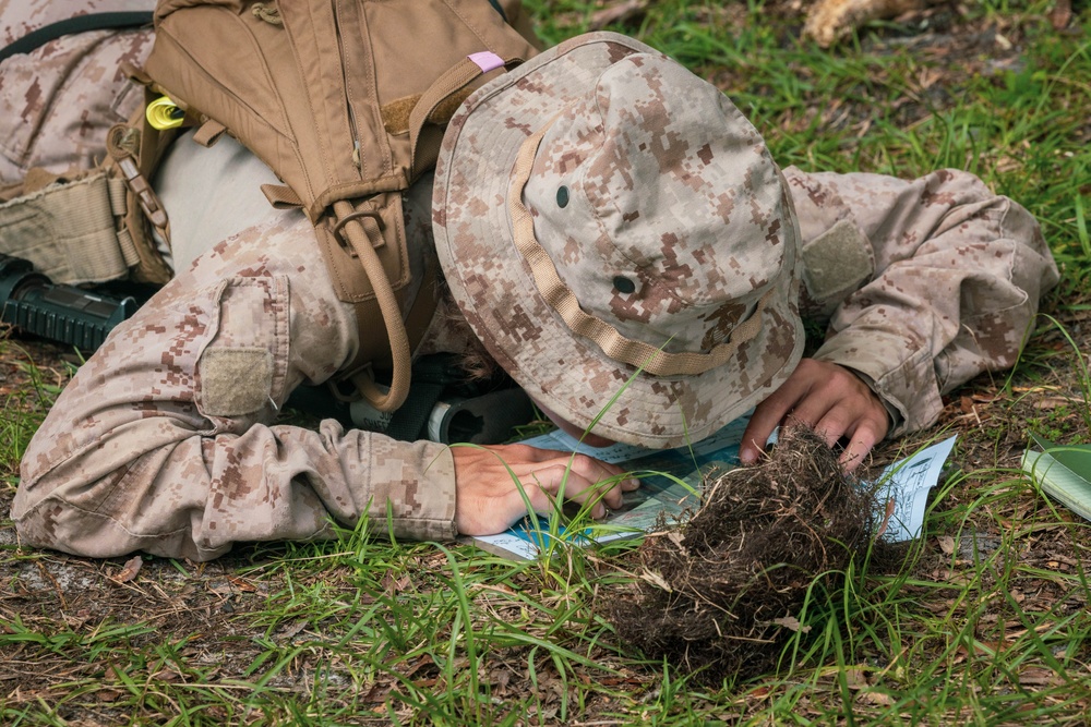November Company Land Navigation