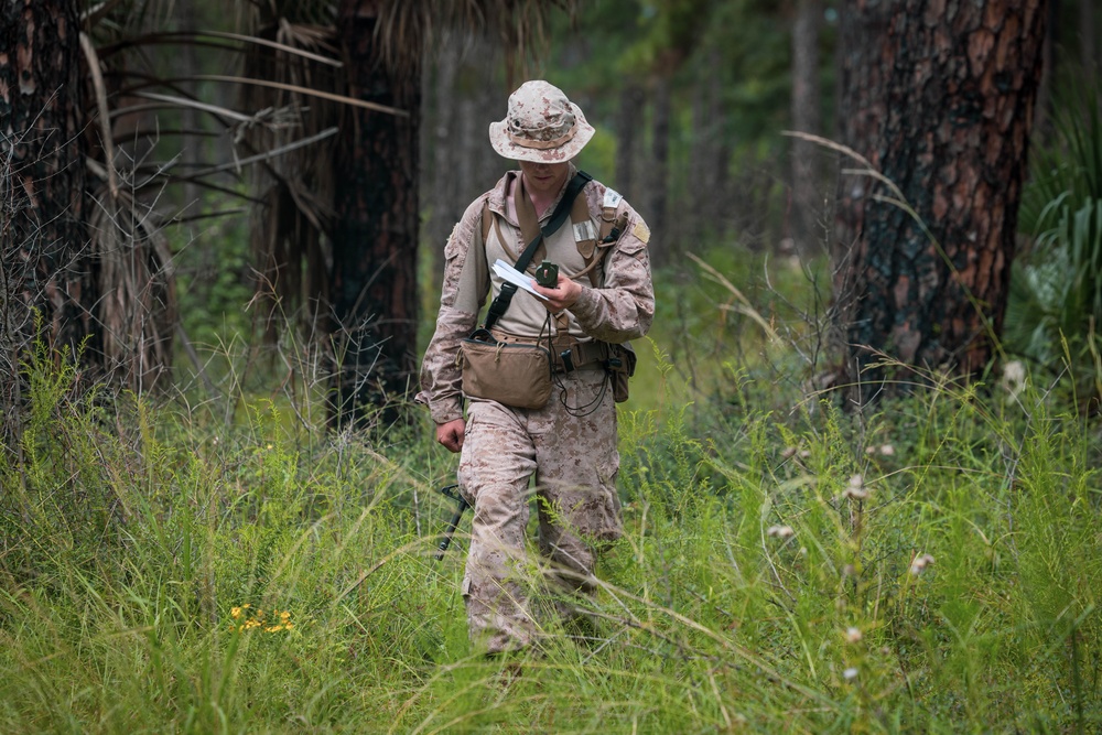 November Company Land Navigation