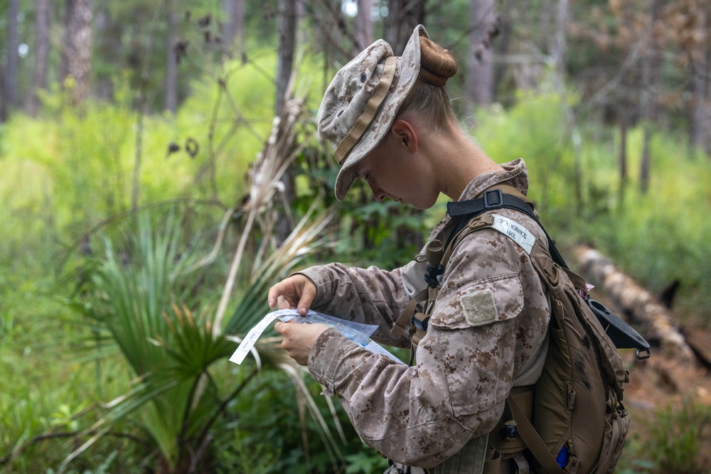 November Company Land Navigation