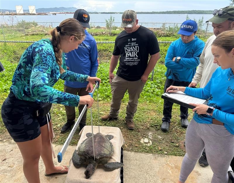 10-Year Sea Turtle Conservation Project Continues to Make Strides in the Marianas