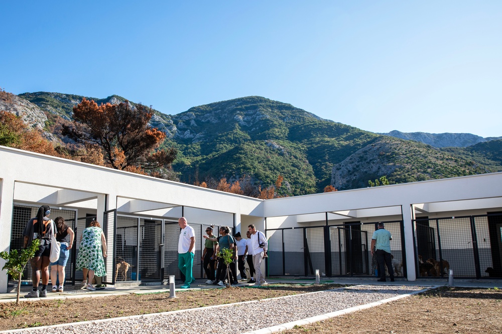 USS Mount Whitney Sailors Lend Helping Hands and Paws at Local Dog Shelter in Montenegro