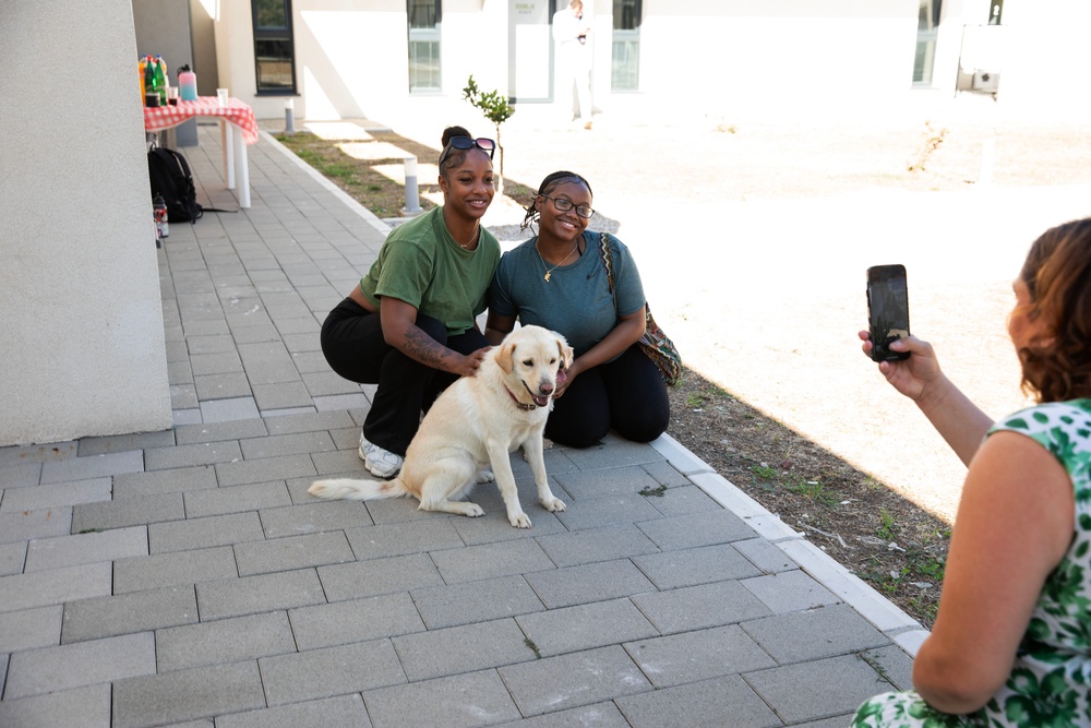 USS Mount Whitney Sailors Lend Helping Hands and Paws at Local Dog Shelter in Montenegro