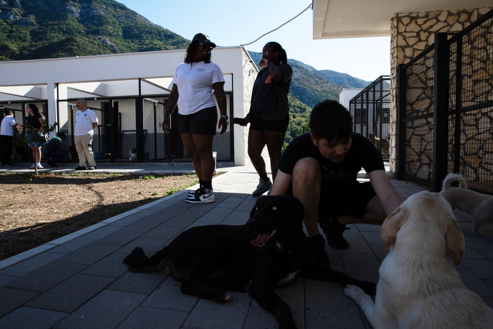 USS Mount Whitney Sailors Lend Helping Hands and Paws at Local Dog Shelter in Montenegro