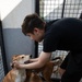 USS Mount Whitney Sailors Lend Helping Hands and Paws at Local Dog Shelter in Montenegro