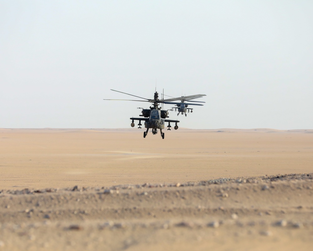 TF Shikra AH-64 Training