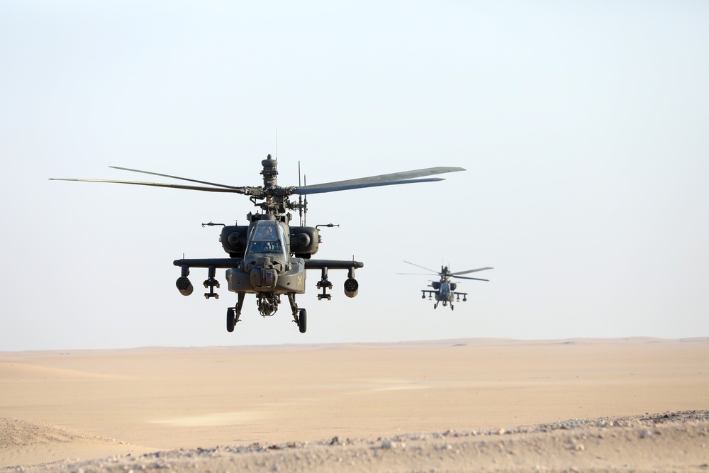 TF Shikra AH-64 Training