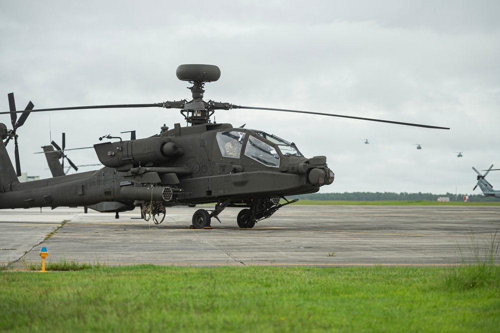 South Carolina National Guard participates in Operation Flyswatter