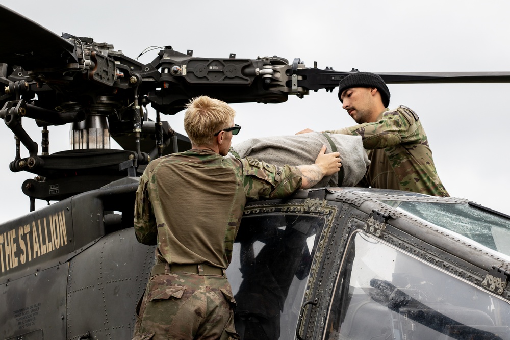 Ground to Air: Soldiers at Work, Saber Junction 25