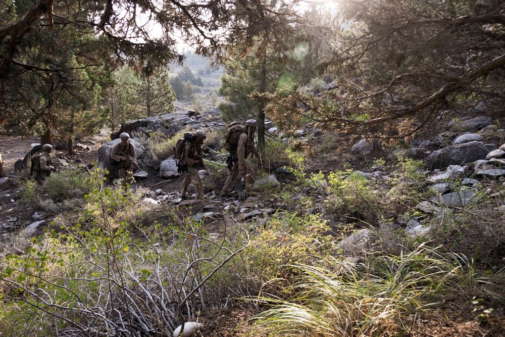 BLT 3/5 and V11 Marines conduct field exercise during Assault Climbers Course