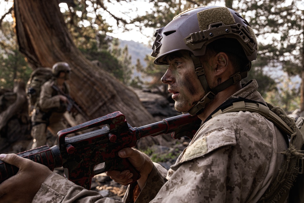 BLT 3/5 and V11 Marines conduct field exercise during Assault Climbers Course