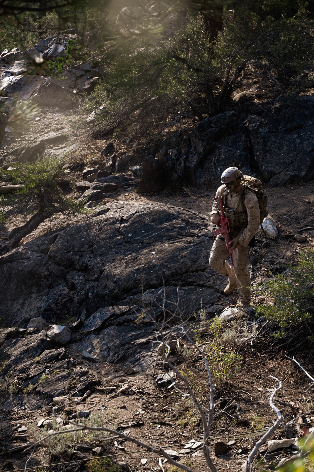 BLT 3/5 and V11 Marines conduct field exercise during Assault Climbers Course