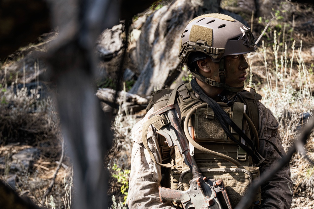 BLT 3/5 and V11 Marines conduct field exercise during Assault Climbers Course