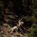 BLT 3/5 and V11 Marines conduct field exercise during Assault Climbers Course