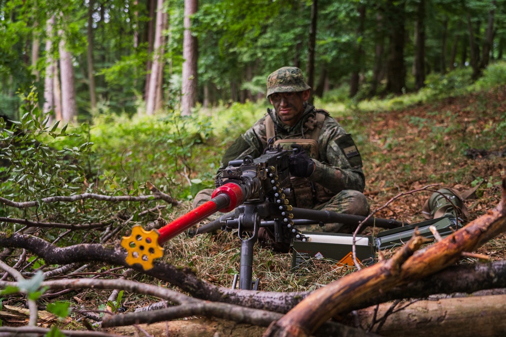 Saber Junction 25, 17th Light Armored BN