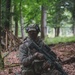 Saber Junction 25, 17th Light Armored BN