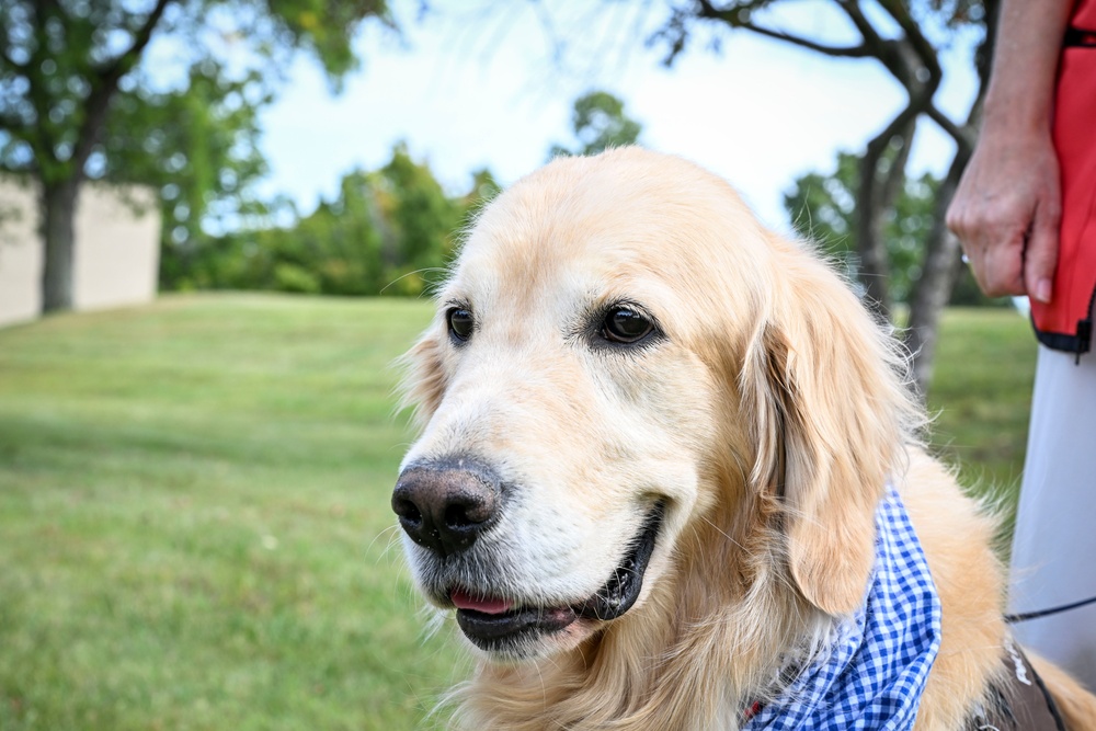 Red Cross Therapy Dogs Visit Great Lakes