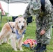 Red Cross Therapy Dogs Visit Great Lakes