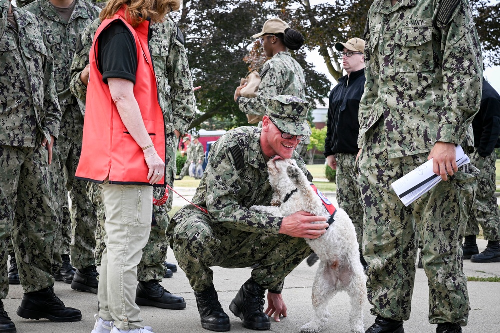 Red Cross Therapy Dogs Visit Great Lakes