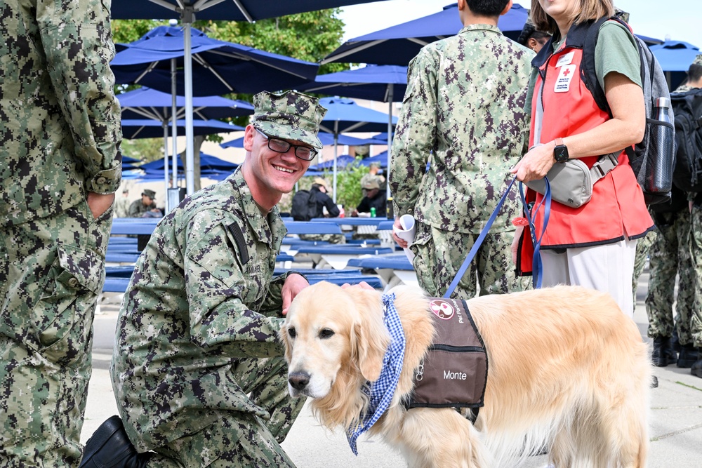 Red Cross Therapy Dogs Visit Great Lakes