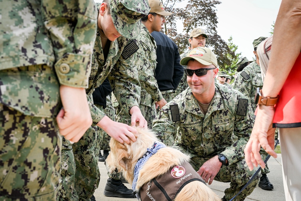 Red Cross Therapy Dogs Visit Great Lakes