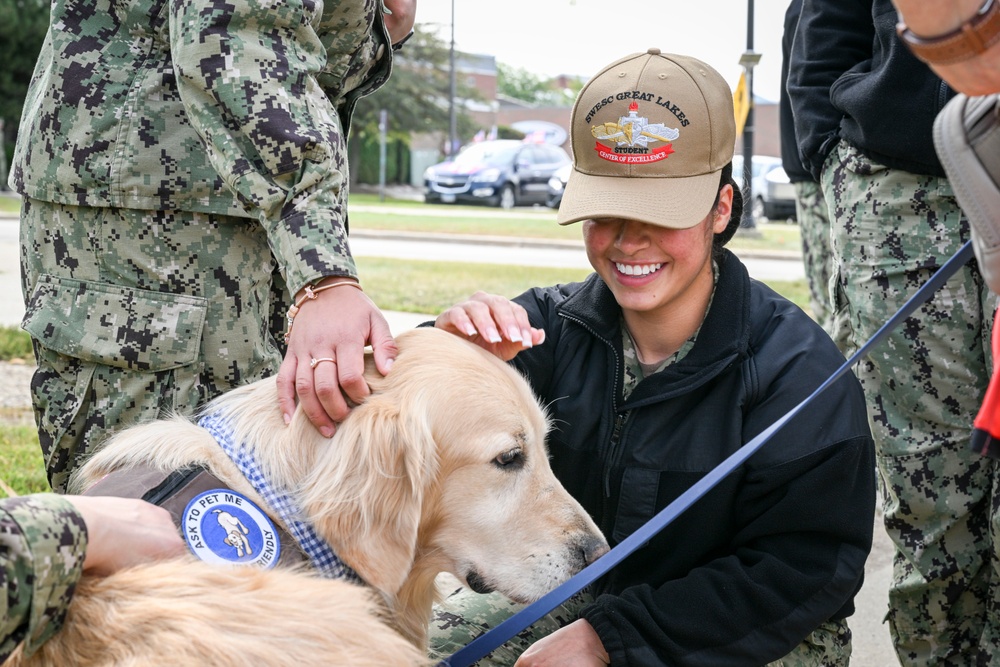 Red Cross Therapy Dogs Visit Great Lakes
