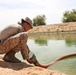 US Marines maintain routes for US Border Patrol