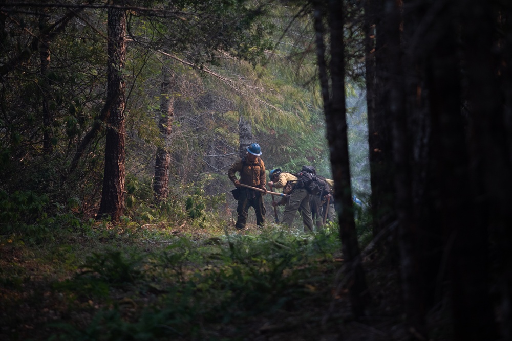 Wildfire: A Modern-Day Paradox