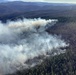 Wildfire: A Modern-Day Paradox