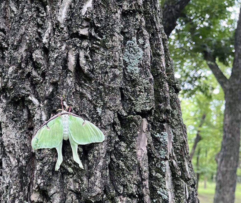 Striking a balance between nature and recreation